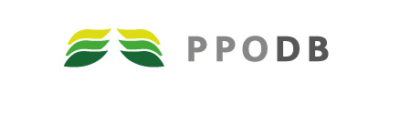PPODB