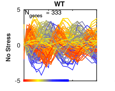 Analysis of periodic behaviour