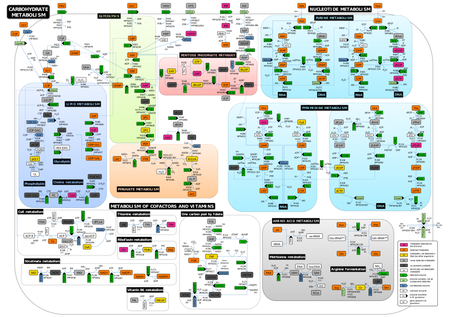 Constraint-based modeling