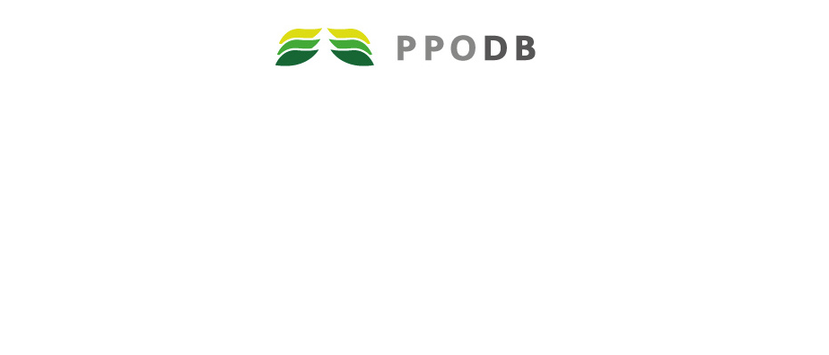 PPODB