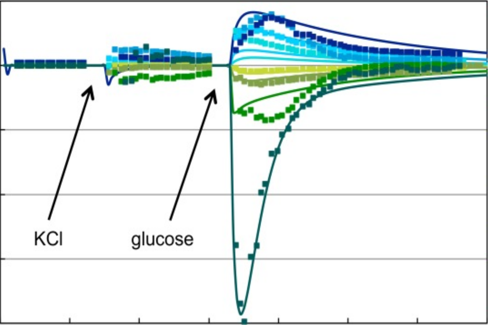 Cellular stress response