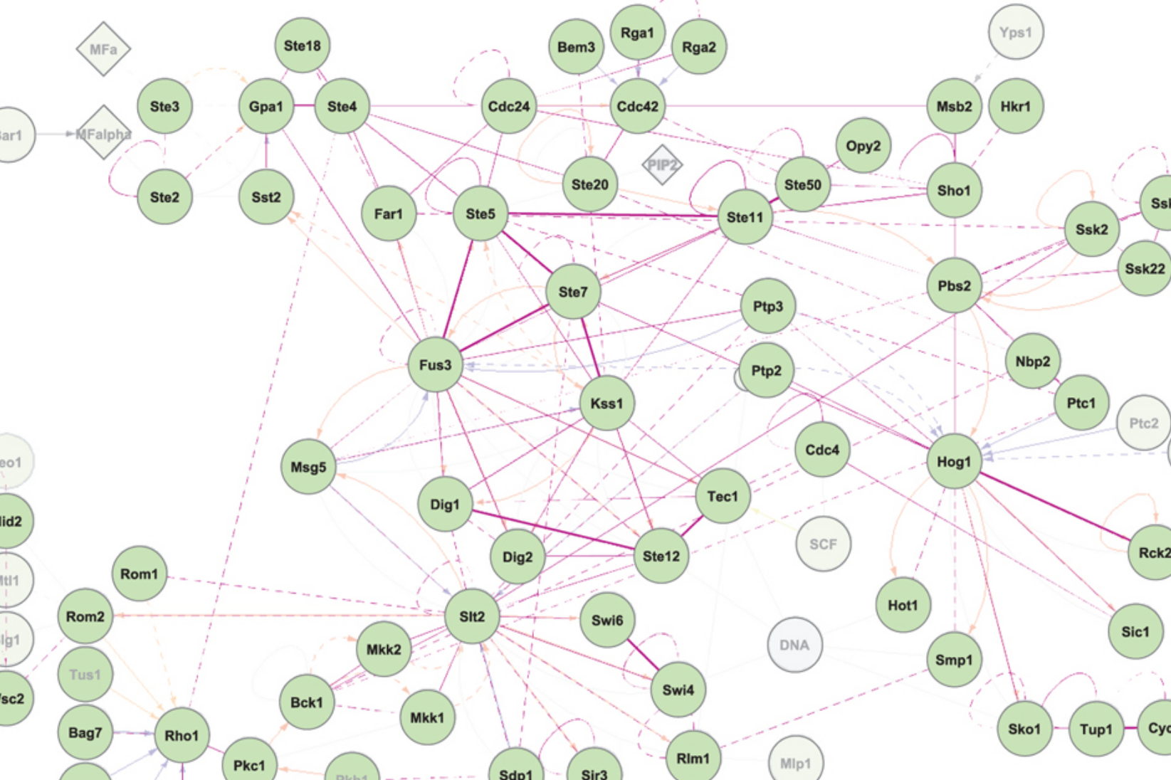 (Large-scale) signaling models