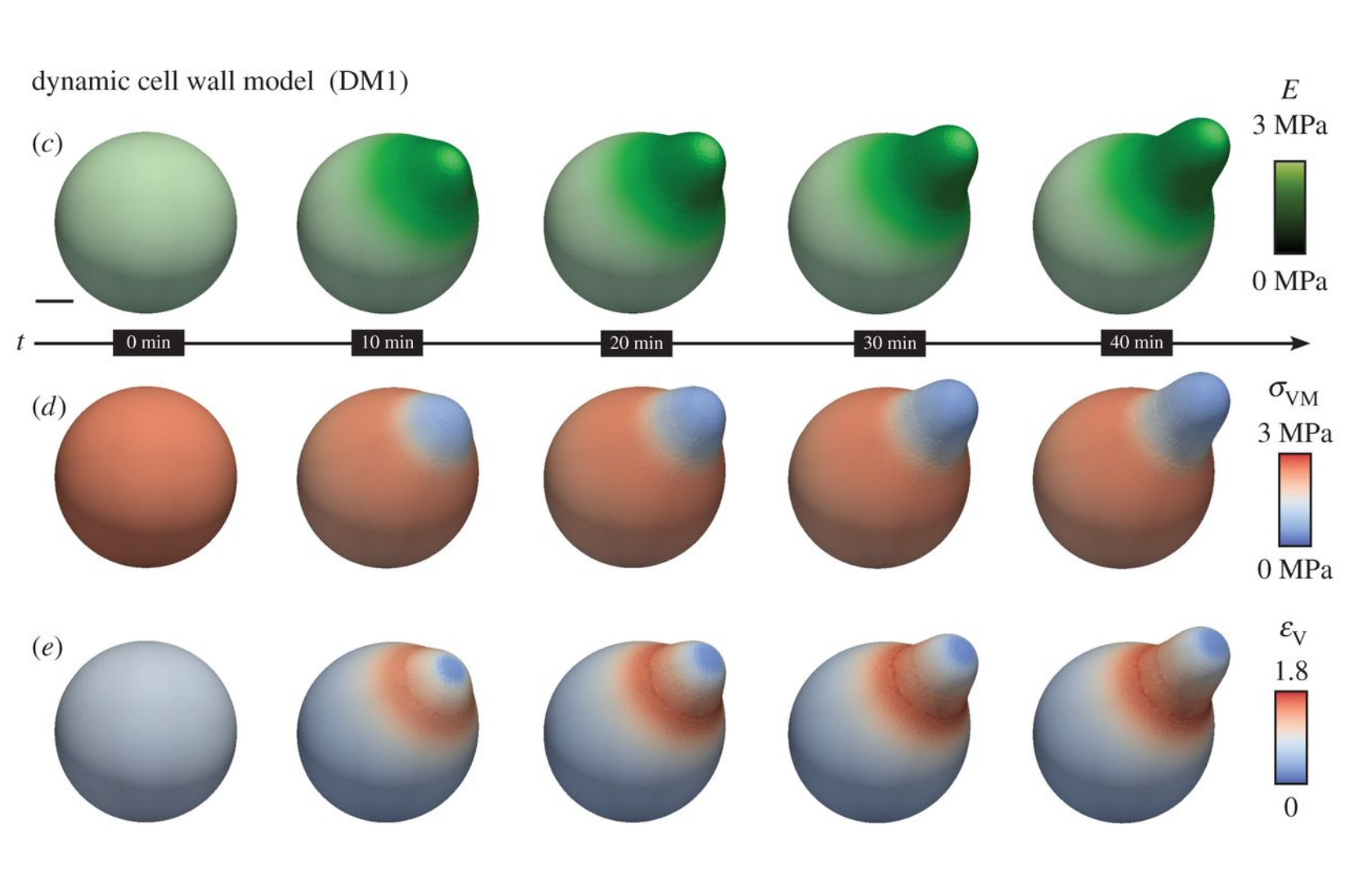 Spatial modeling