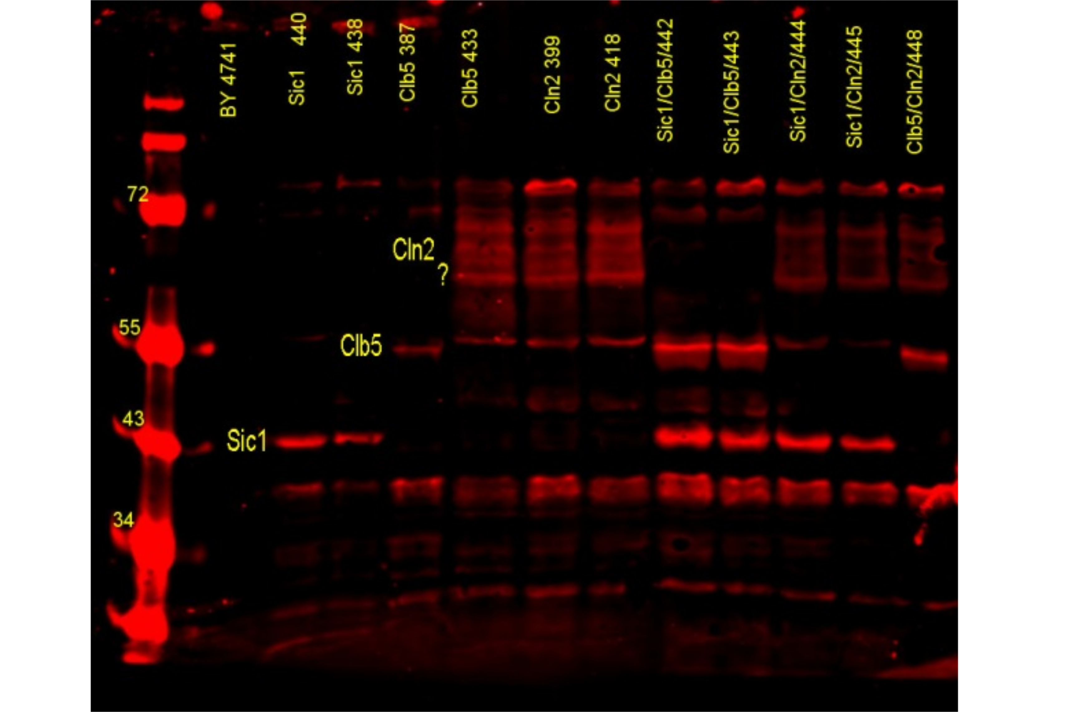 Molecular biology